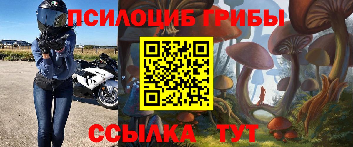 Галлюциногенные грибы мухоморы  Вход с VPN  Галлюциногенные грибы Psilocybine cubensis  как найти наркотики  Королёв 